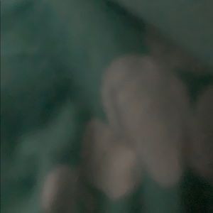 Meet your Posher, Lili